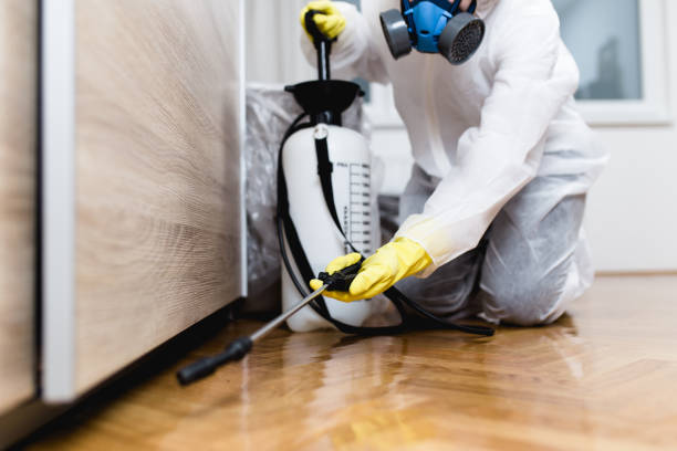 Best Cockroach Control Services  in Stapleton, AL