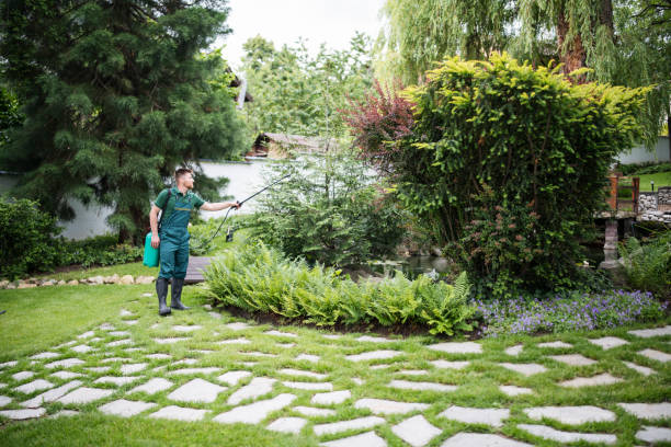 Professional Pest Control in Stapleton, AL
