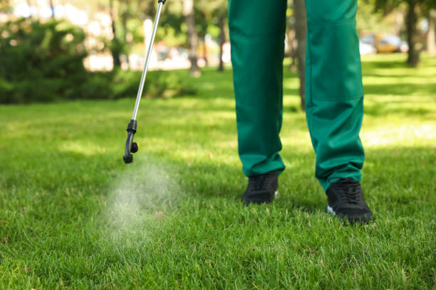 Best Ant Control Services  in Stapleton, AL