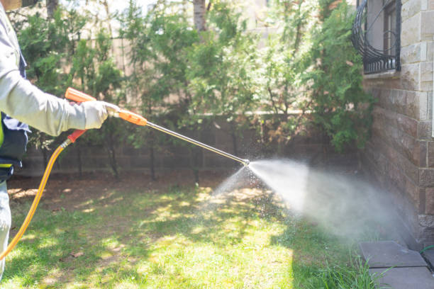 Best Bed Bug Extermination  in Stapleton, AL