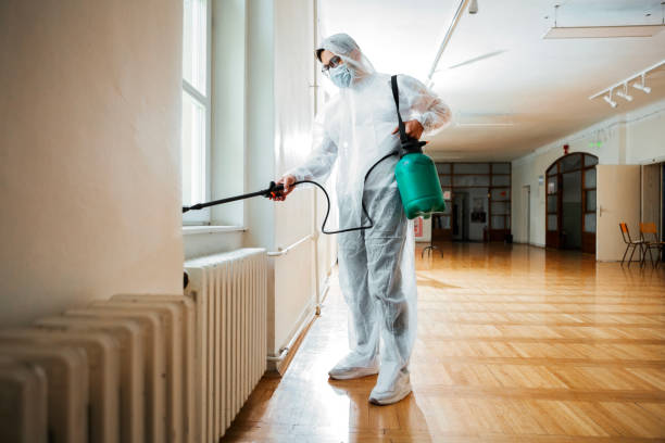 Best Local Pest Control Services  in Stapleton, AL