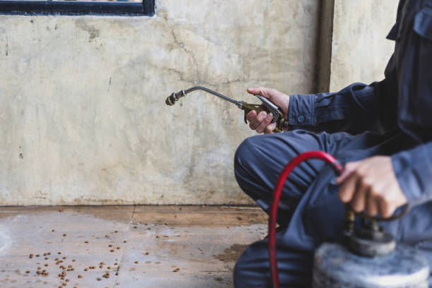 Best Pest Inspection Near Me  in Stapleton, AL
